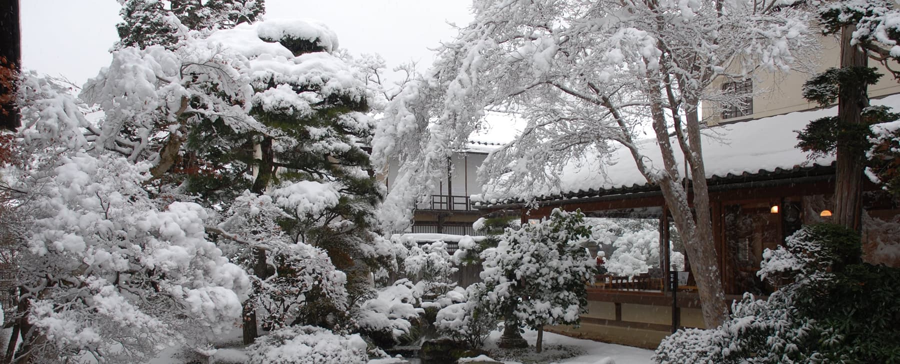 田中本家の冬の写真
